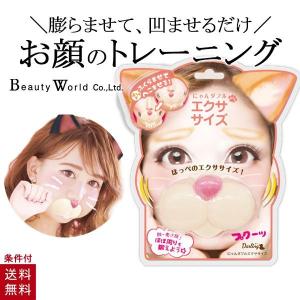 にゃんダフル エクササイズ ニャンダフル にゃんだふる