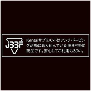 Kentai ケンタイ EAA プラス HMB...の詳細画像3