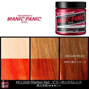 マニックパニック MPカラー ダークスター 11062 マニパニ アッシュ系