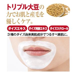 シェモア スポルン ホワイトウブピールパック ...の詳細画像4