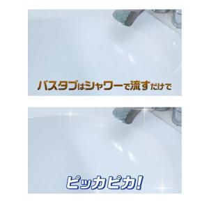 リンレイ ウルトラハードクリーナーバス用 ウル...の詳細画像4