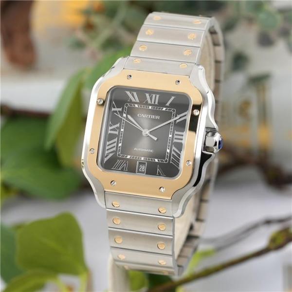 カルティエ サントス ドゥ カルティエ LM W2SA0030 付属品完品 CARTIER 新品メン...