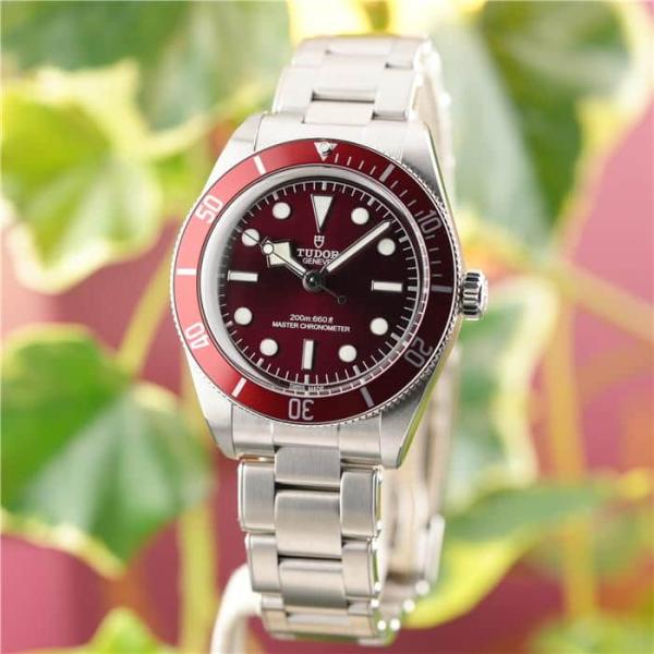 チューダー ブラックベイ 58 M7939A1A0RU-0002 付属品完品 TUDOR 新品メンズ...