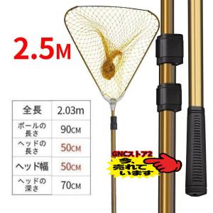 ランディングネット玉網ラバー渓流大型青物タ�