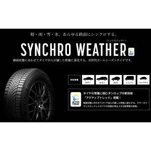 【ダンロップ】205/65R15 94H ●シンクロウェザー ●1本　タイヤのみ　DUNLOP SYNCHRO WEATHER　オールシーズンタイヤ｜go-go-mach