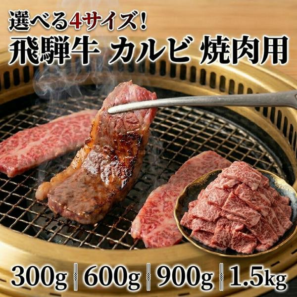【賞味期限：2026年5月28日】国産  黒毛和牛 牛肉 飛騨牛 カルビ 焼肉用 300g 600g...