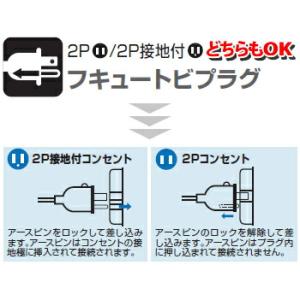 ハタヤ(HATAYA) BFX ブレーカー付 ...の詳細画像3