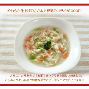 犬 手作り食 ごはん 無添加 ドッグフード ギ...の詳細画像1