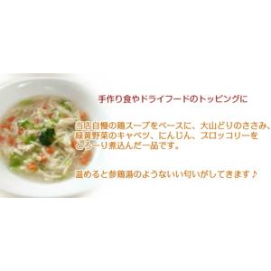 犬 手作り食 ごはん 無添加 ドッグフード ギ...の詳細画像2