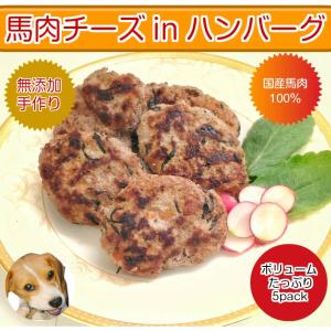 冷凍ハンバーグ 犬用品 の商品一覧 ペット用品 生き物 通販 Yahoo ショッピング