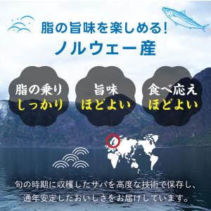 さばの塩焼き 焼前30g 20切セット ノルウ...の詳細画像4