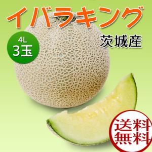 白井さんのメロン　イバラキング　3玉（青肉）【3玉（1玉4L）】6月初旬〜6月中旬頃のお届け【茨城県産】：送料無料