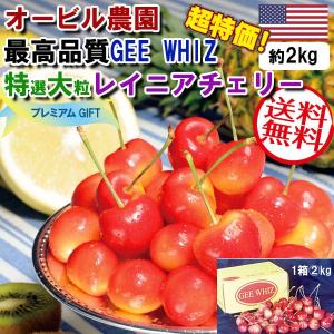 オービル農園・最高品質GEE WHIZ 特選大粒レイニアチェ...