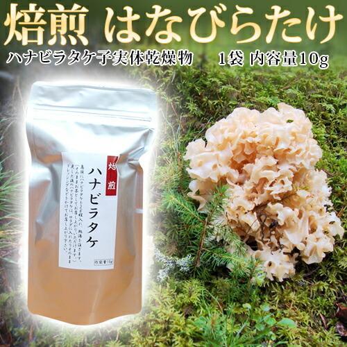 はなびらたけ 焙煎（お茶）10gハナビラタケ子実体乾燥物無添加 国産はなびらたけ ハナビラタケ加工食...