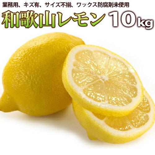 レモン 10kg 業務用（わかやま県産） 有田みかんの里 和歌山県産 訳ありレモン 産地直送 ノーワ...