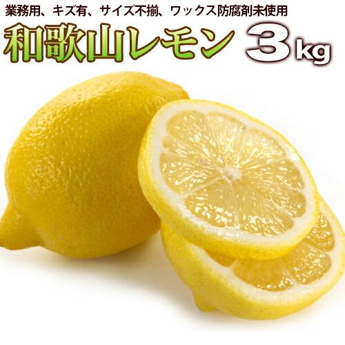 レモン 3kg 業務用（わかやま県産） 有田みかんの里 和歌山県産 訳ありレモン カクテルレモン ノ...
