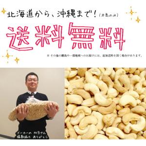 カシューナッツ 11kg塩味インド産 ロースト...の詳細画像2