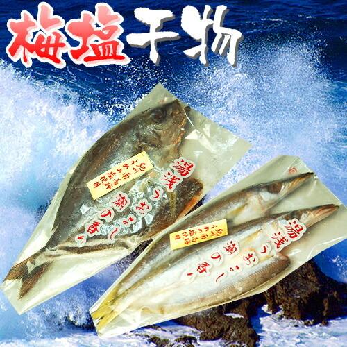 梅塩干物☆青空レストランで紹介 （カマスの開き2尾 イサギ開き1尾）加工品 干物セット ひもの カマ...