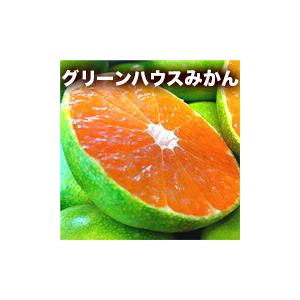 グリーンハウスみかん 2kg和歌山県有田みかん【配達日時指定不可】 訳あり