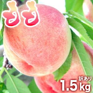 桃 1.5kg（6玉前後）もも 訳あり フルーツ・果物 桃 白鳳系（日川 八幡 清水 川中島）和歌山...