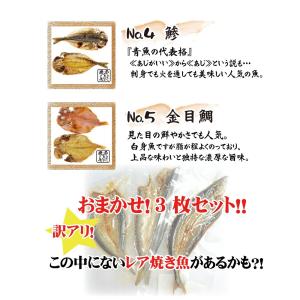 「骨まで食べられる焼き魚」おまかせ3枚セット ...の詳細画像3
