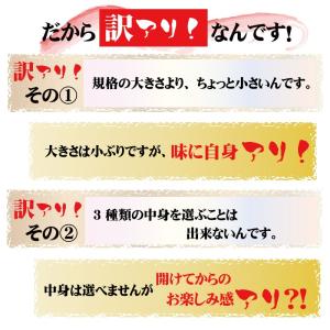「骨まで食べられる焼き魚」おまかせ3枚セット ...の詳細画像4