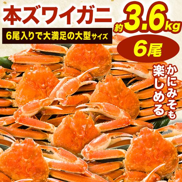 お値引きクーポン配布中 大型6尾 約3.6kg ボイルズワイガニ姿 大型サイズ ズワイガニ ずわいが...