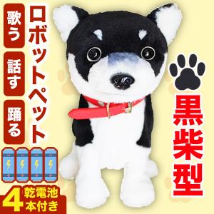 タカラトミー（TAKARA TOMY） Omnibot ハロー!ズーマー ミニチュア