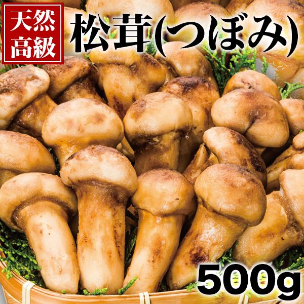 500g 天然松茸(つぼみ) 松茸 まつたけ マツタケ 天然松茸 高級松茸 天然 秋の味覚 希少 高...