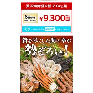 6種 合計2.8kg 贅沢海鮮盛 ズワイガニ ...の詳細画像2