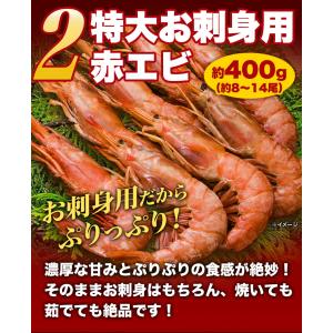 6種 合計2.8kg 贅沢海鮮盛 ズワイガニ ...の詳細画像4