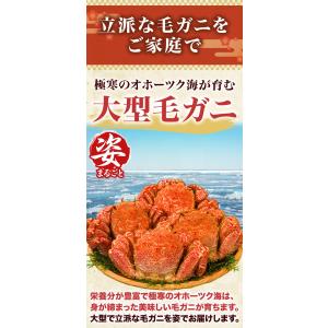 お値引きクーポン配布中 2尾約1.2kg 大型...の詳細画像4