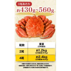 お値引きクーポン配布中 2尾約1.2kg 大型...の詳細画像5
