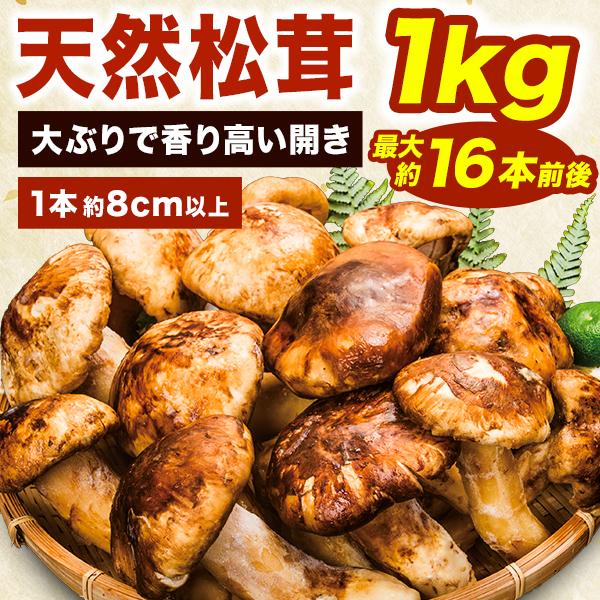 1kg約14~16本前後 天然松茸(開き) まつたけ マツタケ 松茸 天然松茸 きのこ キノコ 秋の...