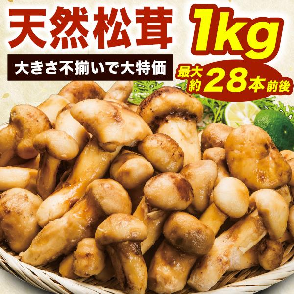 1kg約16~28本前後 天然松茸(大きさ不揃い) まつたけ マツタケ 松茸 天然松茸 きのこ キノ...