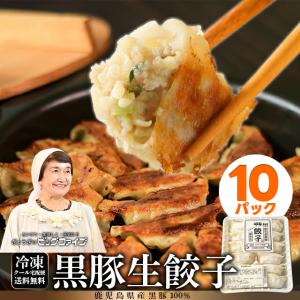 餃子 ぎょうざ 冷凍 鹿児島 ビッグファイブ 黒豚 豚肉 送料無料 生餃子 無添加 【BIG5鹿児島黒豚生餃子10パック】｜gochisouperori