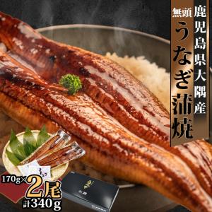 鹿児島 ウナギ かば焼き 蒲焼 鰻 送料無料 冷凍 お中元 御中元 土用 の 丑の日 ギフト うなぎ2尾 Unagi2 グルマンデyahoo ショッピング店 通販 Yahoo ショッピング