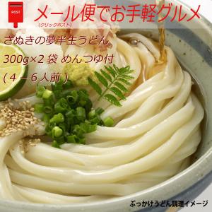 さぬき麺業 さぬきの夢半生うどん 300g×2袋 つゆ付(４−6人前) --- 日本郵便（クリックポスト）でお届け