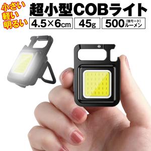 アリゲーター スタンディング ソウル 160 /H237Y 船釣り クエ 泳がせ