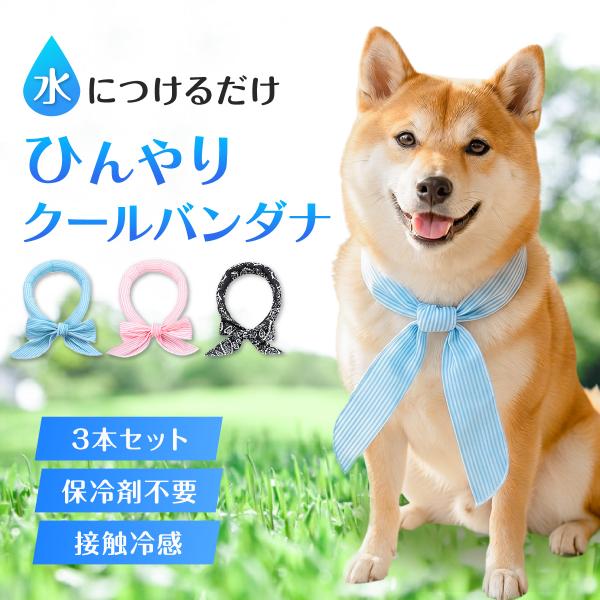 ＼夏応援セール★981円／犬首輪 クールネック 3本セット 犬用 猫用 熱中症対策 水で濡らす Co...
