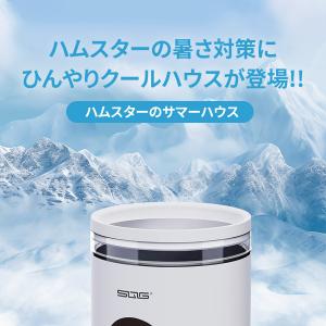 爆買 ハムスター ハウス サマーハウス 涼しい...の詳細画像1