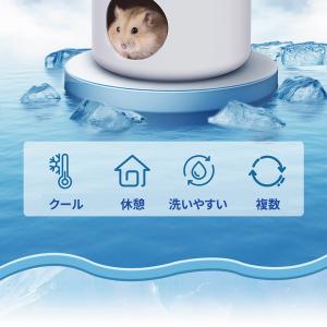 爆買 ハムスター ハウス サマーハウス 涼しい...の詳細画像2
