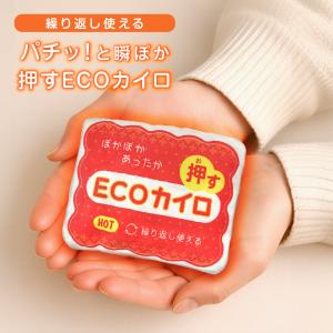 カイロ 羽毛カイロ イワタ 保温 冷え性 冷え防止 水洗いOK 繰り返し