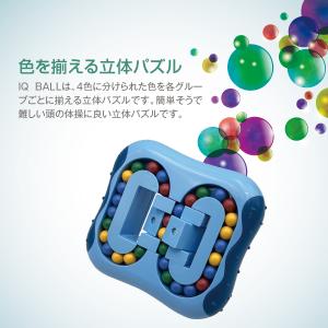 IQ BALL パズルボール 立体パズル 知育...の詳細画像1
