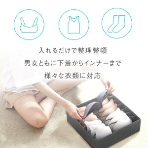 下着収納ケース 3点セット 7マス 16マス ...の詳細画像2