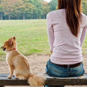 シートクッション 北欧 折りたたみ 座布団 ア...の詳細画像5