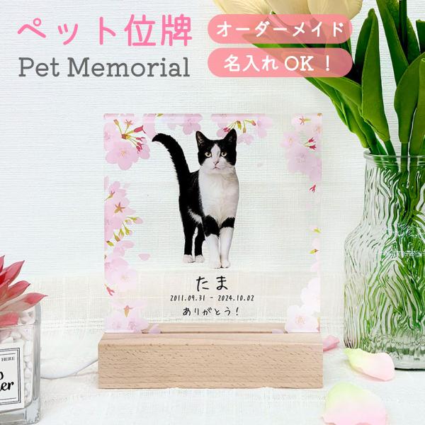ペット 位牌 写真 カラー 名入れ ライトアップ 遺影 仏具 供養 ペットメモリアル お位牌 葬儀犬...