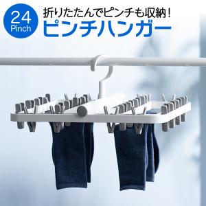 洗濯 物干し アルモア ミニ グリーン ハンガー 10ピンチ 清潔で 丈夫な アルミフレーム 2mvetro 61ySE22XPTL.jpg_BO30,255,255,