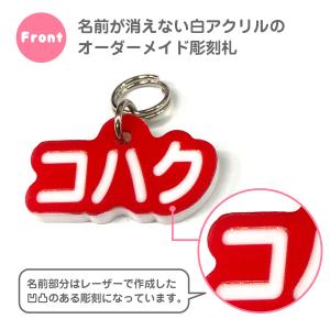 迷子札 犬 猫 ペット 名札 ネームプレート ...の詳細画像2