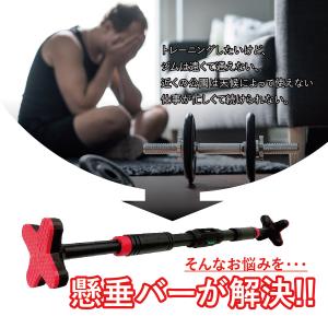 爆買 懸垂バー ドアジム 壁 マシーン チンニ...の詳細画像1